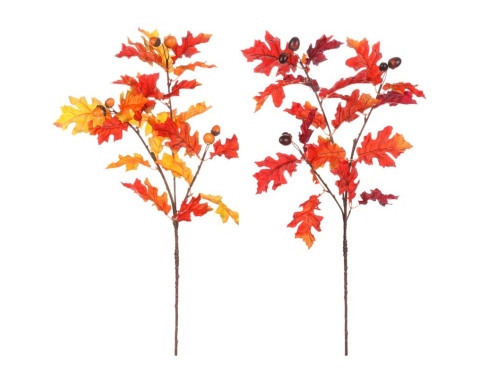 Podzimní větev (2 druhy) Dub s žaludy